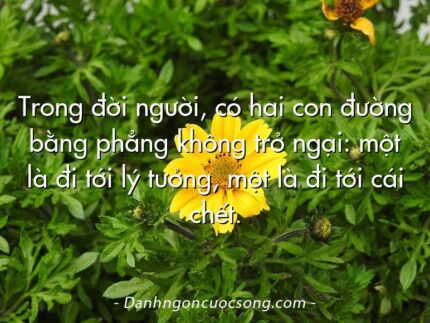 Trong đời người, có hai con đường bằng phẳng không trở ngại: một là đi tới lý tưởng, một là đi tới cái chết.