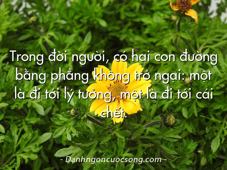 Trong đời người, có hai con đường bằng phẳng không trở ngại: một là đi tới lý tưởng, một là đi tới cái chết.