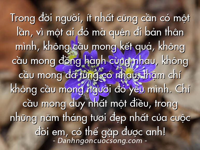 Trong đời người, ít nhất cũng cần có một lần, vì một ai đó mà quên đi bản thân mình, không cầu mong kết quả, không cầu mong đồng hành cùng nhau, không cầu mong đã từng có nhau, thậm chí không cầu mong người đó yêu mình. Chỉ cầu mong duy nhất một điều, trong những năm tháng tươi đẹp nhất của cuộc đời em, có thể gặp được anh!