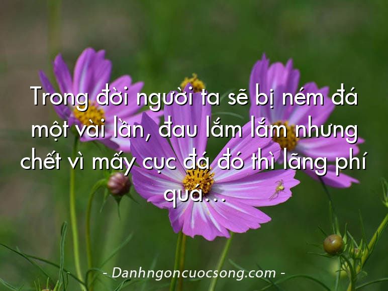 Trong đời người ta sẽ bị ném đá một vài lần, đau lắm lắm nhưng chết vì mấy cục đá đó thì lãng phí quá…