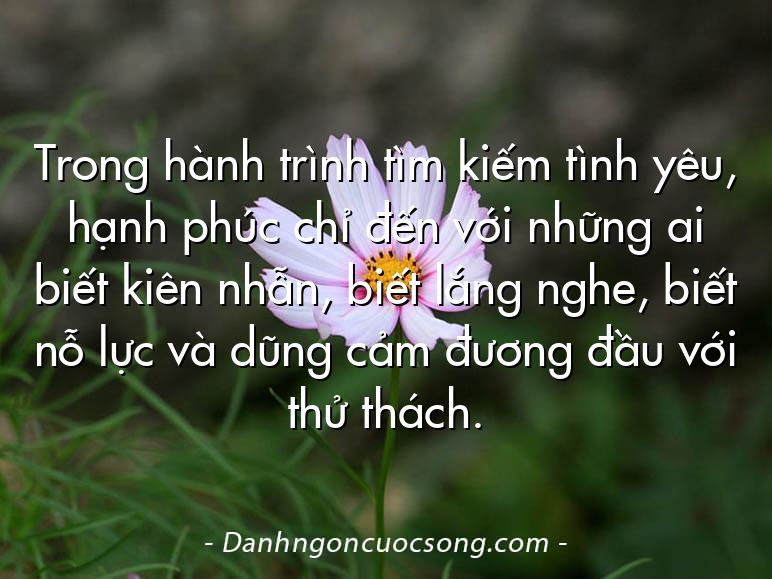 Trong hành trình tìm kiếm tình yêu, hạnh phúc chỉ đến với những ai biết kiên nhẫn, biết lắng nghe, biết nỗ lực và dũng cảm đương đầu với thử thách.
