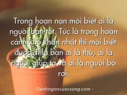 Trong hoạn nạn mới biết ai là người bạn tốt. Tức là trong hoàn cảnh khó khăn nhất thì mới biết được ai là bạn ai là thù, ai là người giúp ta và ai là người bỏ rơi.