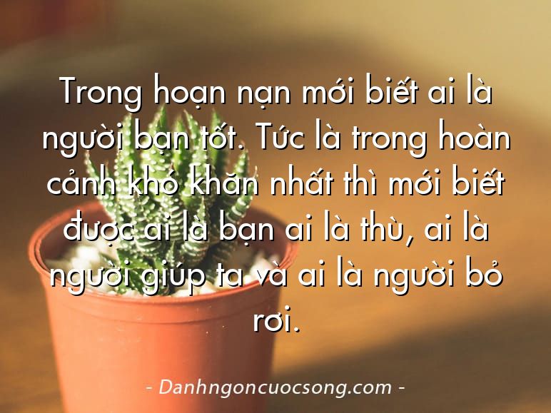 Trong hoạn nạn mới biết ai là người bạn tốt. Tức là trong hoàn cảnh khó khăn nhất thì mới biết được ai là bạn ai là thù, ai là người giúp ta và ai là người bỏ rơi.