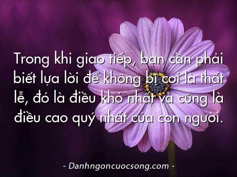 Trong khi giao tiếp, bạn cần phải biết lựa lời để không bị coi là thất lễ, đó là điều khó nhất và cũng là điều cao quý nhất của con người.