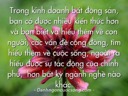 Trong kinh doanh bất động sản, bạn có được nhiều kiến thức hơn và bạn biết và hiểu thêm về con người, các vấn đề cộng đồng, tìm hiểu thêm về cuộc sống, ngoài ra hiểu được sự tác động của chính phủ,  hơn bất kỳ ngành nghề nào  khác.