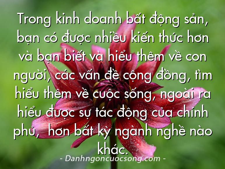 Trong kinh doanh bất động sản, bạn có được nhiều kiến thức hơn và bạn biết và hiểu thêm về con người, các vấn đề cộng đồng, tìm hiểu thêm về cuộc sống, ngoài ra hiểu được sự tác động của chính phủ,  hơn bất kỳ ngành nghề nào  khác.