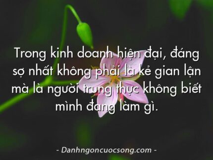 Trong kinh doanh hiện đại, đáng sợ nhất không phải là kẻ gian lận mà là người trung thực không biết mình đang làm gì.