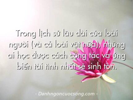 Trong lịch sử lâu dài của loài người (và cả loài vật nữa), những ai học được cách cộng tác và ứng biến tài tình nhất sẽ sinh tồn.
