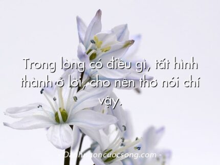Trong lòng có điều gì, tất hình thành ở lời, cho nên thơ nói chí vậy.