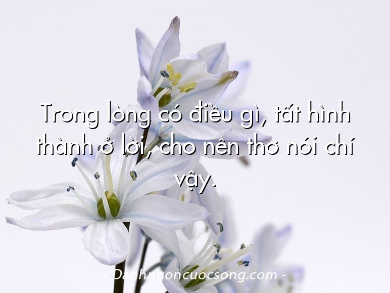 Trong lòng có điều gì, tất hình thành ở lời, cho nên thơ nói chí vậy.