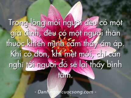 Trong lòng mỗi người đều có một gia đình, đều có một người thân thuộc khiến mình cảm thấy ấm áp. Khi cô đơn, khi mệt mỏi, chỉ cần nghĩ tới người đó sẽ lại thấy bình tâm.