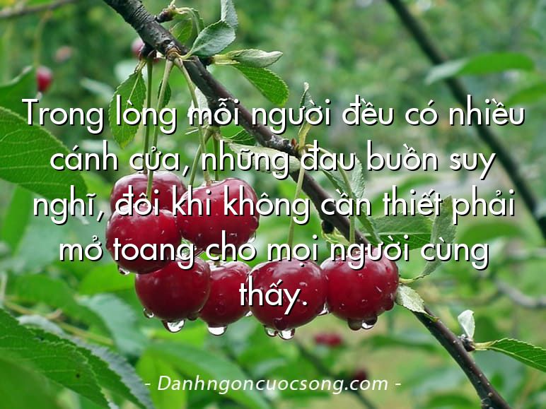 Trong lòng mỗi người đều có nhiều cánh cửa, những đau buồn suy nghĩ, đôi khi không cần thiết phải mở toang cho mọi người cùng thấy.