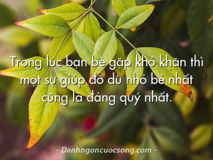 Trong lúc bạn bè gặp khó khăn thì một sự giúp đỡ dù nhỏ bé nhất cũng là đáng quý nhất.