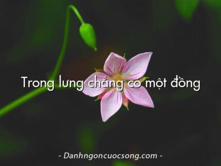 Trong lưng chẳng có một đồng