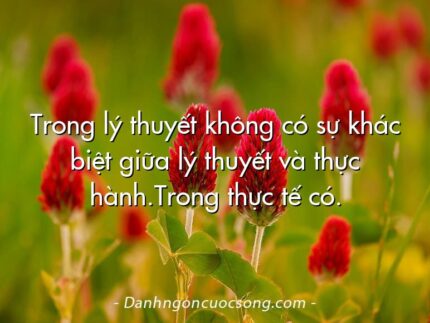 Trong lý thuyết không có sự khác biệt giữa lý thuyết và thực hành.Trong thực tế có.