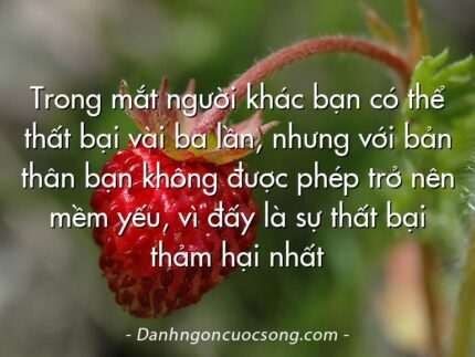 Trong mắt người khác bạn có thể thất bại vài ba lần, nhưng với bản thân bạn không được phép trở nên mềm yếu, vì đấy là sự thất bại thảm hại nhất