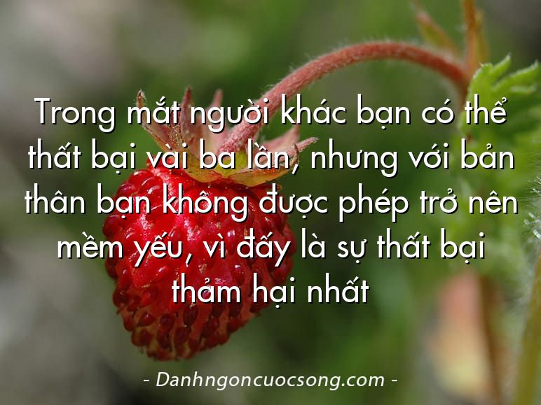 Trong mắt người khác bạn có thể thất bại vài ba lần, nhưng với bản thân bạn không được phép trở nên mềm yếu, vì đấy là sự thất bại thảm hại nhất