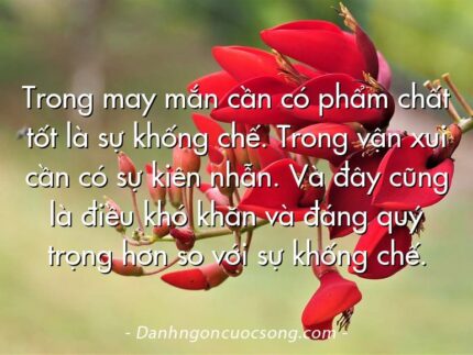 Trong may mắn cần có phẩm chất tốt là sự khống chế. Trong vận xui cần có sự kiên nhẫn. Và đây cũng là điều khó khăn và đáng quý trọng hơn so với sự khống chế.
