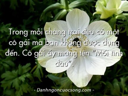 Trong mỗi chàng trai đều có một cô gái mà bạn không được đụng đến. Cô gái ấy mang tên “Mối tình đầu”.