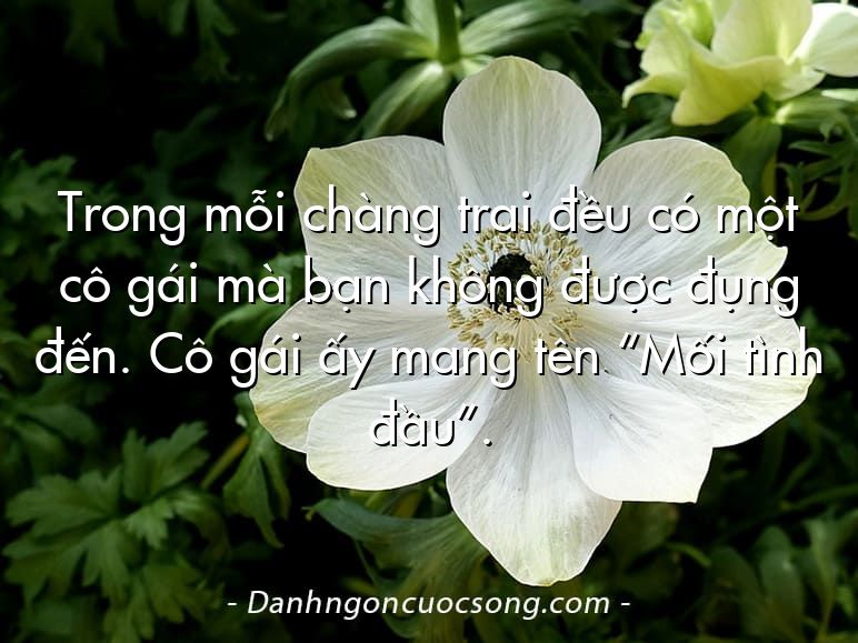 Trong mỗi chàng trai đều có một cô gái mà bạn không được đụng đến. Cô gái ấy mang tên “Mối tình đầu”.