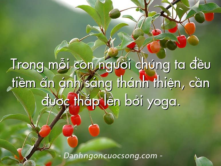 Trong mỗi con người chúng ta đều tiềm ẩn ánh sáng thánh thiện, cần được thắp lên bởi yoga.