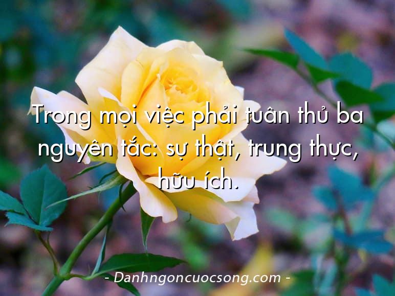 Trong mọi việc phải tuân thủ ba nguyên tắc: sự thật, trung thực, hữu ích.
