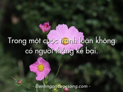 Trong một cuộc tranh luận không có người thắng kẻ bại.