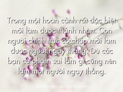 Trong một hoàn cảnh rất đặc biệt mới làm được thánh nhân. Con người chính trực cố chấp mới làm được người ngay thẳng. Dù các bạn có phạm sai lầm gì cũng nên làm một người ngay thẳng.