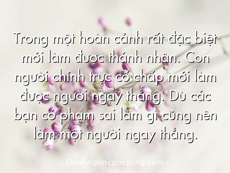 Trong một hoàn cảnh rất đặc biệt mới làm được thánh nhân. Con người chính trực cố chấp mới làm được người ngay thẳng. Dù các bạn có phạm sai lầm gì cũng nên làm một người ngay thẳng.