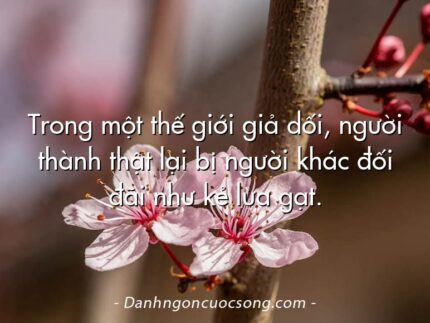 Trong một thế giới giả dối, người thành thật lại bị người khác đối đãi như kẻ lừa gạt.