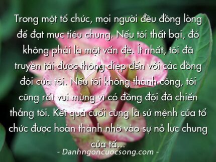Trong một tổ chức, mọi người đều đồng lòng để đạt mục tiêu chung. Nếu tôi thất bại, đó không phải là một vấn đề. Ít nhất, tôi đã truyền tải được thông điệp đến với các đồng đội của tôi. Nếu tôi không thành công, tôi cũng rất vui mừng vì có đồng đội đã chiến thắng tôi. Kết quả cuối cùng là sứ mệnh của tổ chức được hoàn thành nhờ vào sự nỗ lực chung của tất cả mọi người.