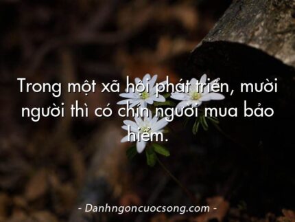 Trong một xã hội phát triển, mười người thì có chín người mua bảo hiểm.