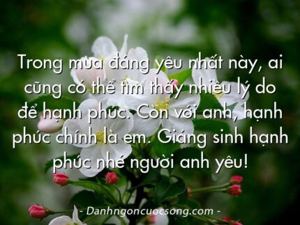 Trong mùa đáng yêu nhất này, ai cũng có thể tìm thấy nhiều lý do để hạnh phúc. Còn với anh, hạnh phúc chính là em. Giáng sinh hạnh phúc nhé người anh yêu!