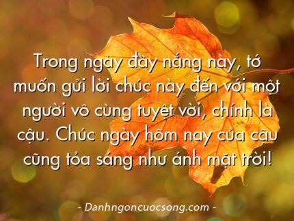 Trong ngày đầy nắng này, tớ muốn gửi lời chúc này đến với một người vô cùng tuyệt vời, chính là cậu. Chúc ngày hôm nay của cậu cũng tỏa sáng như ánh mặt trời!