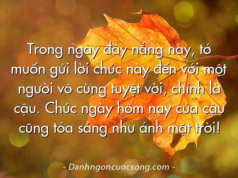 Trong ngày đầy nắng này, tớ muốn gửi lời chúc này đến với một người vô cùng tuyệt vời, chính là cậu. Chúc ngày hôm nay của cậu cũng tỏa sáng như ánh mặt trời!