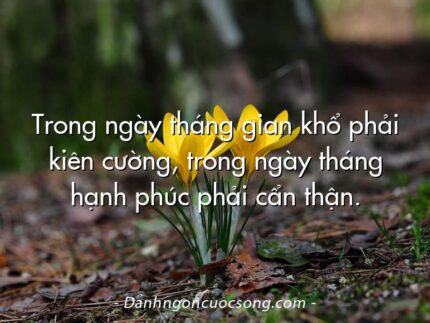Trong ngày tháng gian khổ phải kiên cường, trong ngày tháng hạnh phúc phải cẩn thận.