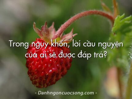 Trong nguy khốn, lời cầu nguyện của ai sẽ được đáp trả?