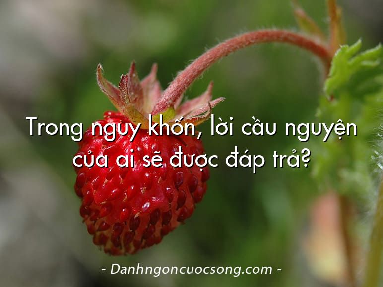 Trong nguy khốn, lời cầu nguyện của ai sẽ được đáp trả?
