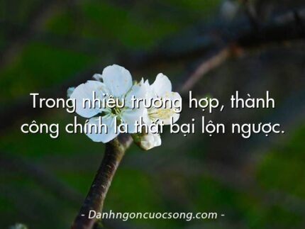 Trong nhiều trường hợp, thành công chính là thất bại lộn ngược.