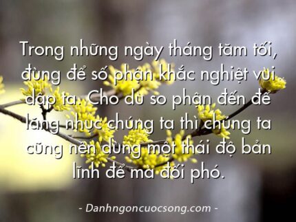 Trong những ngày tháng tăm tối, đùng để số phận khắc nghiệt vùi dập ta. Cho dù so phận đến để lăng nhục chúng ta thì chúng ta cũng nên dùng một thái độ bản lĩnh để mà đối phó.