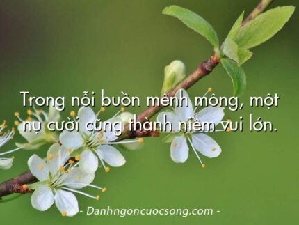 Trong nỗi buồn mênh mông, một nụ cười cũng thành niềm vui lớn.