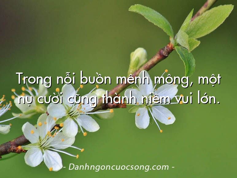 Trong nỗi buồn mênh mông, một nụ cười cũng thành niềm vui lớn.