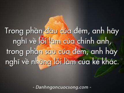 Trong phần đầu của đêm, anh hãy nghĩ về lỗi lầm của chính anh, trong phần sau của đêm, anh hãy nghĩ về những lỗi lầm của kẻ khác.