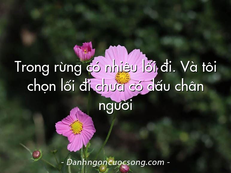 Trong rừng có nhiêu lối đi. Và tôi chọn lối đi chưa có dấu chân người