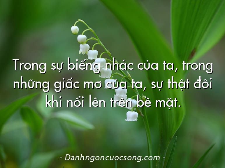Trong sự biếng nhác của ta, trong những giấc mơ của ta, sự thật đôi khi nổi lên trên bề mặt.
