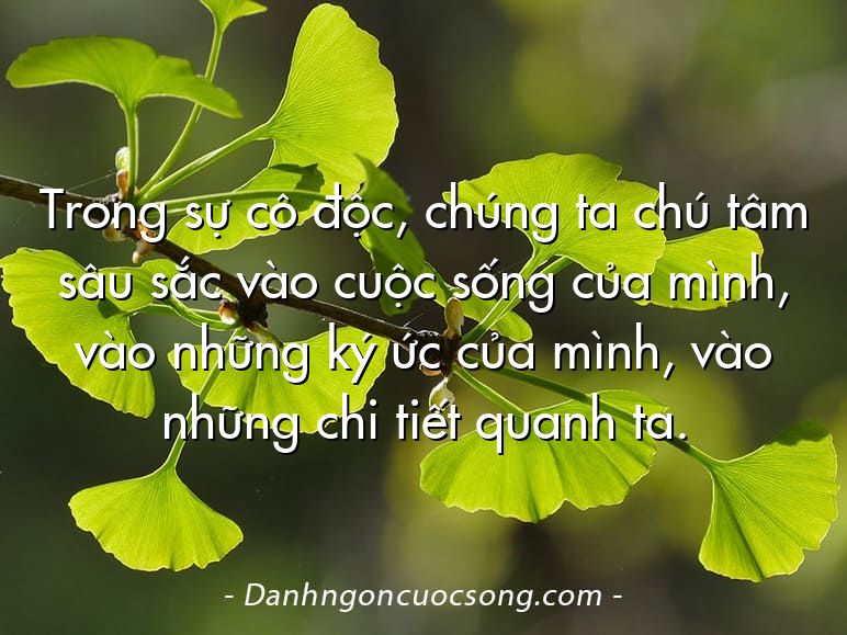 Trong sự cô độc, chúng ta chú tâm sâu sắc vào cuộc sống của mình, vào những ký ức của mình, vào những chi tiết quanh ta.