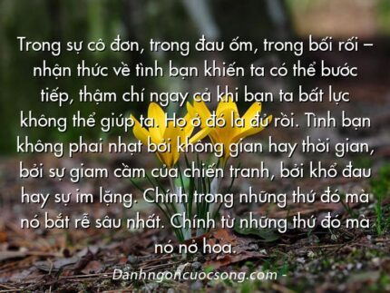 Trong sự cô đơn, trong đau ốm, trong bối rối – nhận thức về tình bạn khiến ta có thể bước tiếp, thậm chí ngay cả khi bạn ta bất lực không thể giúp ta. Họ ở đó là đủ rồi. Tình bạn không phai nhạt bởi không gian hay thời gian, bởi sự giam cầm của chiến tranh, bởi khổ đau hay sự im lặng. Chính trong những thứ đó mà nó bắt rễ sâu nhất. Chính từ những thứ đó mà nó nở hoa.