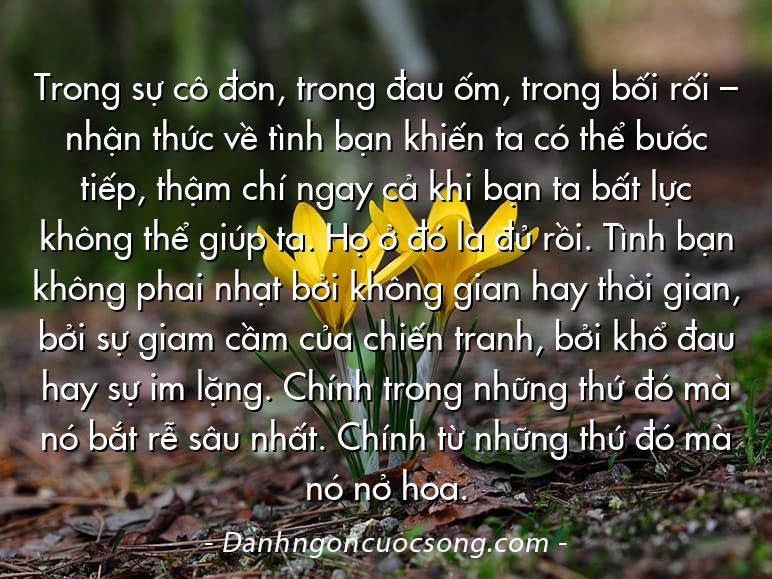 Trong sự cô đơn, trong đau ốm, trong bối rối – nhận thức về tình bạn khiến ta có thể bước tiếp, thậm chí ngay cả khi bạn ta bất lực không thể giúp ta. Họ ở đó là đủ rồi. Tình bạn không phai nhạt bởi không gian hay thời gian, bởi sự giam cầm của chiến tranh, bởi khổ đau hay sự im lặng. Chính trong những thứ đó mà nó bắt rễ sâu nhất. Chính từ những thứ đó mà nó nở hoa.