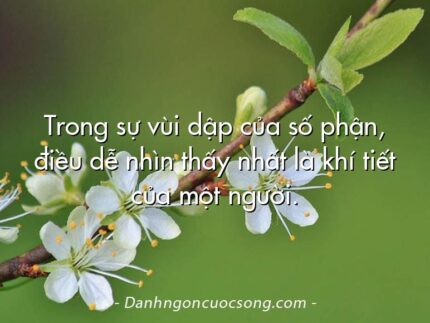 Trong sự vùi dập của số phận, điều dễ nhìn thấy nhất là khí tiết của một người.