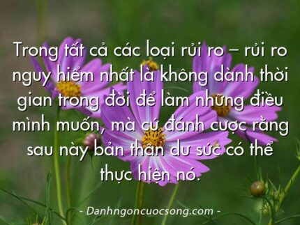 Trong tất cả các loại rủi ro – rủi ro nguy hiểm nhất là không dành thời gian trong đời để làm những điều mình muốn, mà cứ đánh cược rằng sau này bản thân dư sức có thể thực hiện nó.